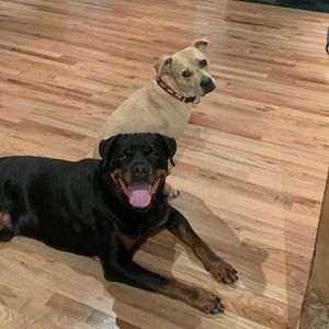 Meet your Posher, Michael